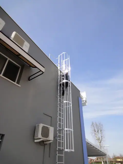 Scala in alluminio con gabbia